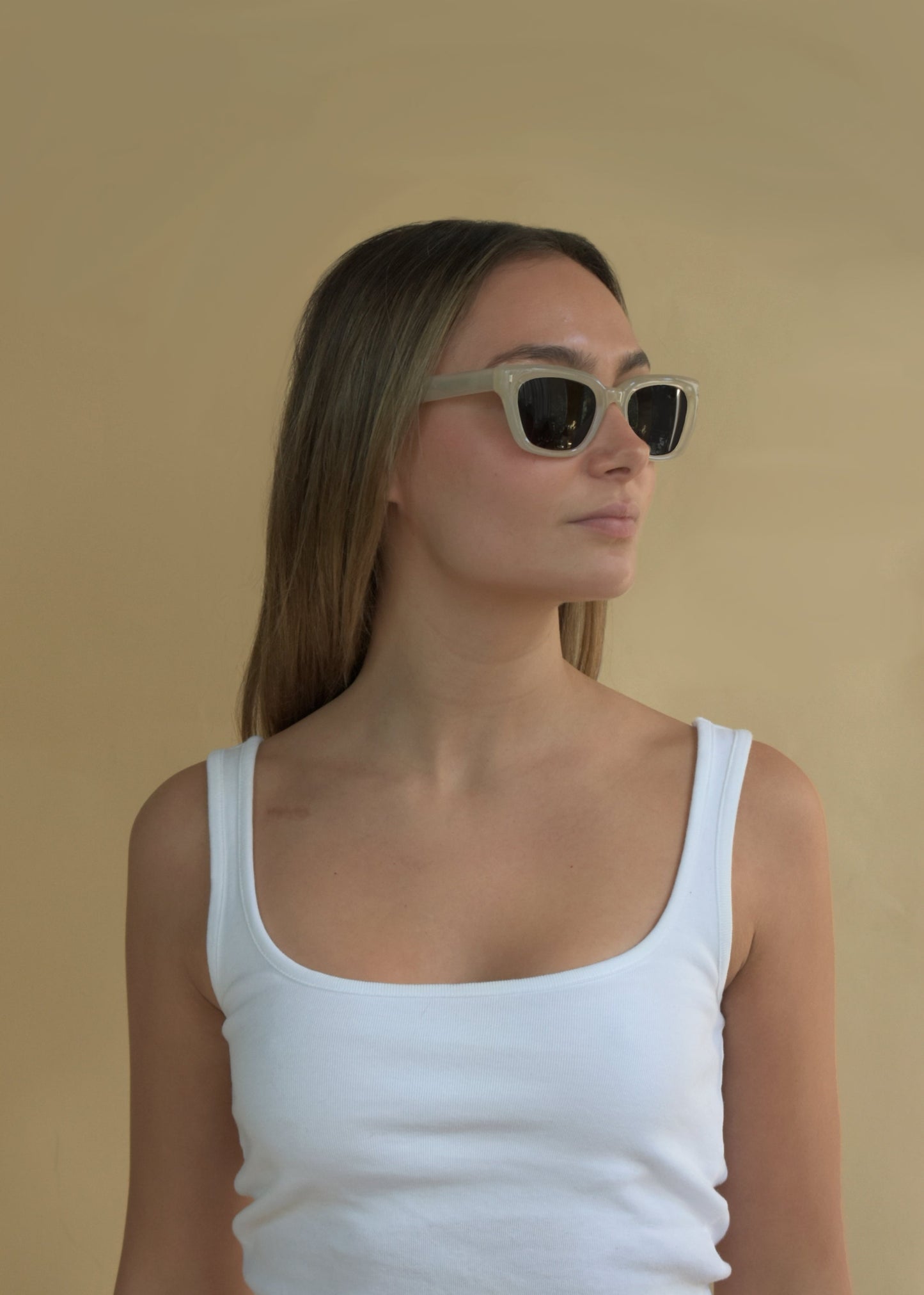 Modelo 007