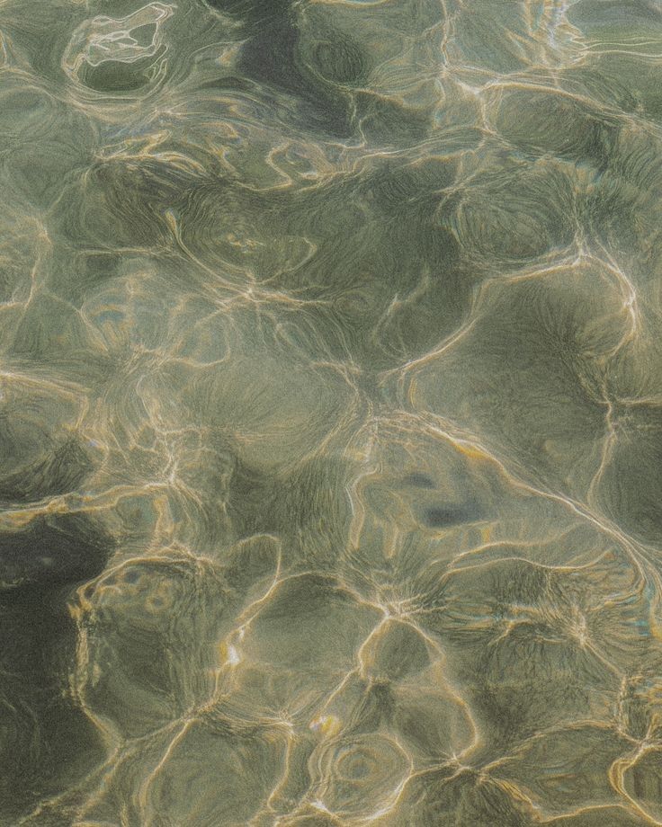 Primavera - Verano 26´